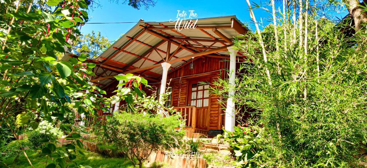 Little Folly Ella Exterior foto